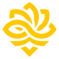 Legacy (BR)